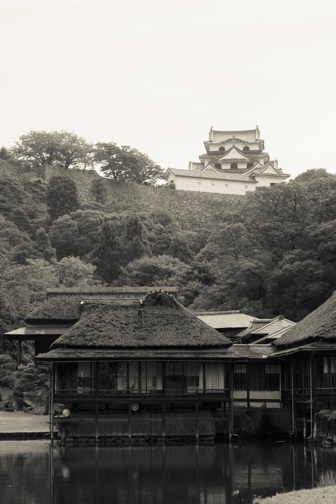 玄宮園から望む天守