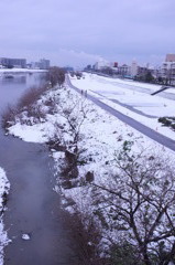 雪の大和川 2