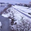 雪の大和川 2