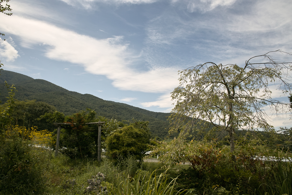 SDIM2635