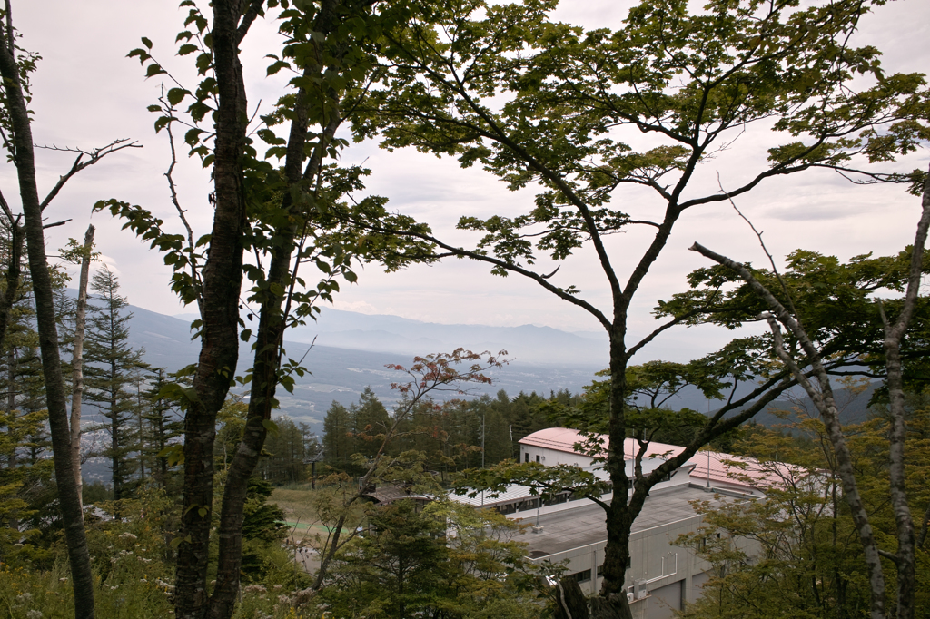 SDIM2691