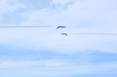 Blue Impulse Low Pass