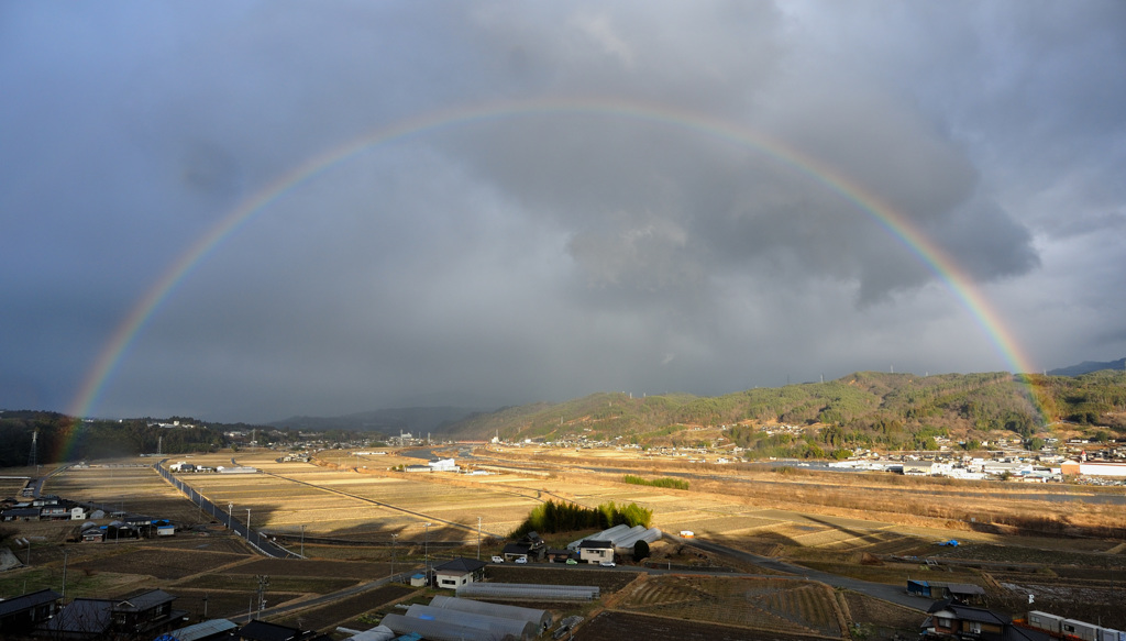 架け橋