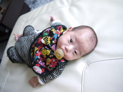 ソフォーでごろり