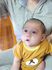 追いかける眼