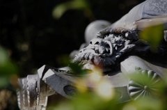 龍