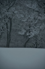 -6℃