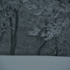 -6℃