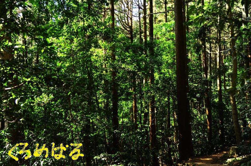 静かなひと時２