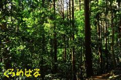 静かなひと時２