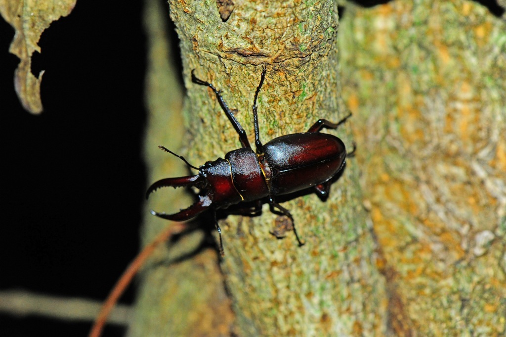 ちょっと小さめ