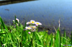 春の陽気に誘われて11