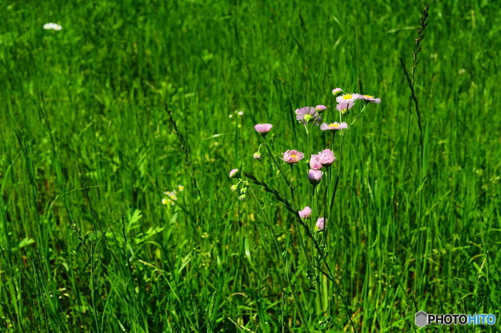 春の陽気に誘われて15