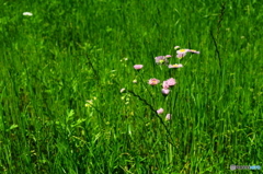 春の陽気に誘われて15