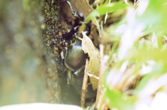 睡眠中起こされてご機嫌斜め