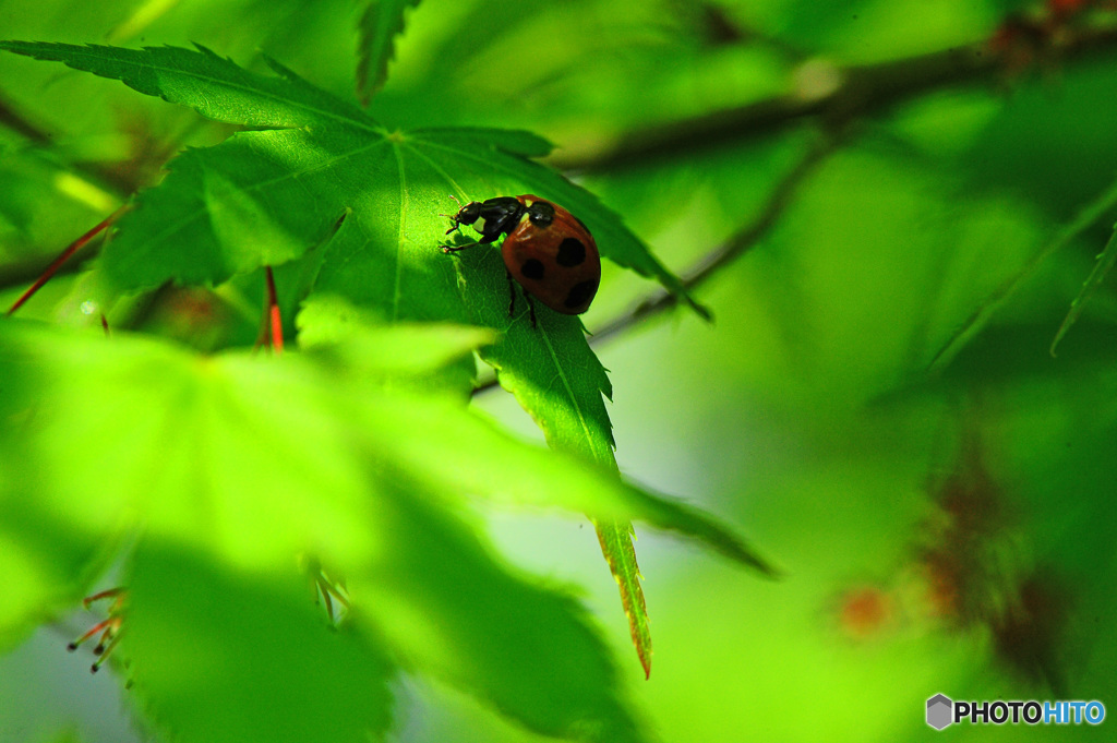 春の陽気に誘われて8