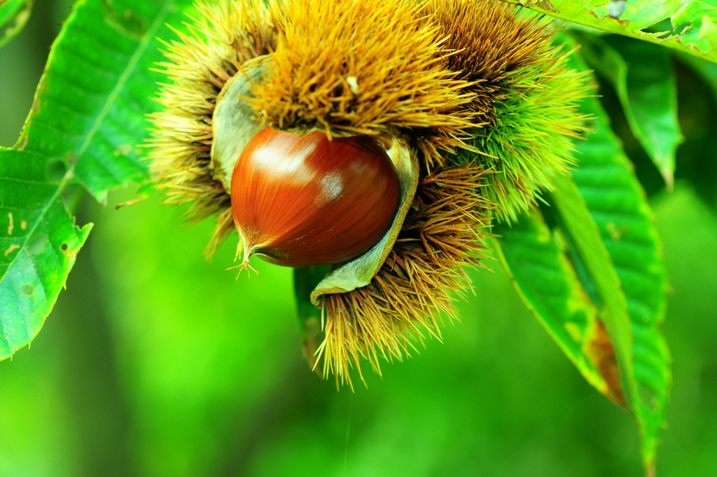 ポートレイト風に