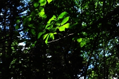 まるで映画館のよう