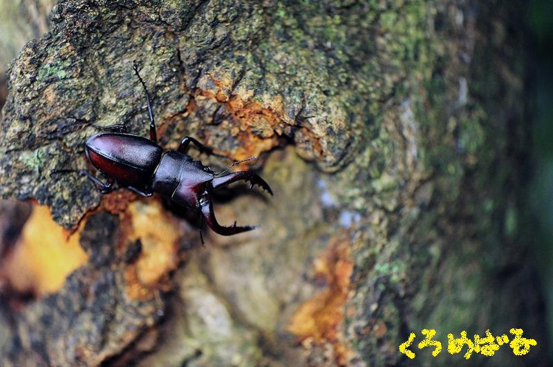 今年初のご挨拶３