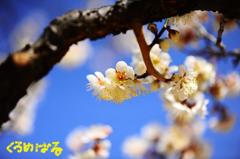 穏やかな春の日