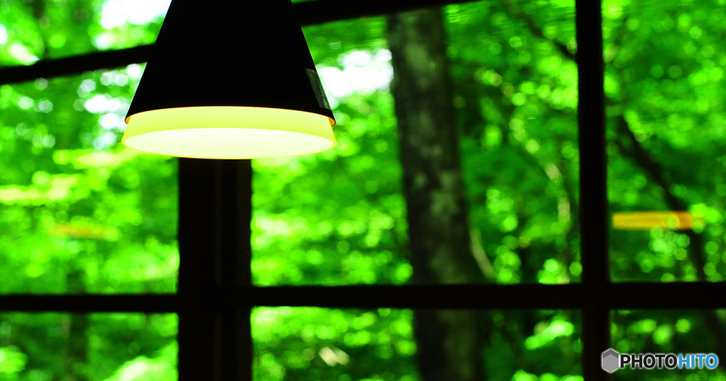 マイナスイオンを感じて