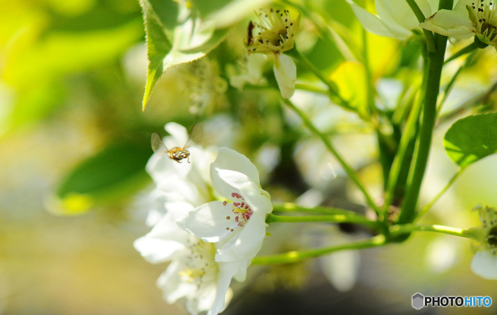 春の陽気に誘われて7