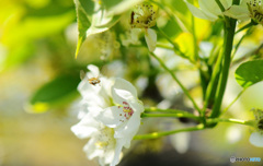 春の陽気に誘われて7