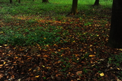場所によっては秋の気配