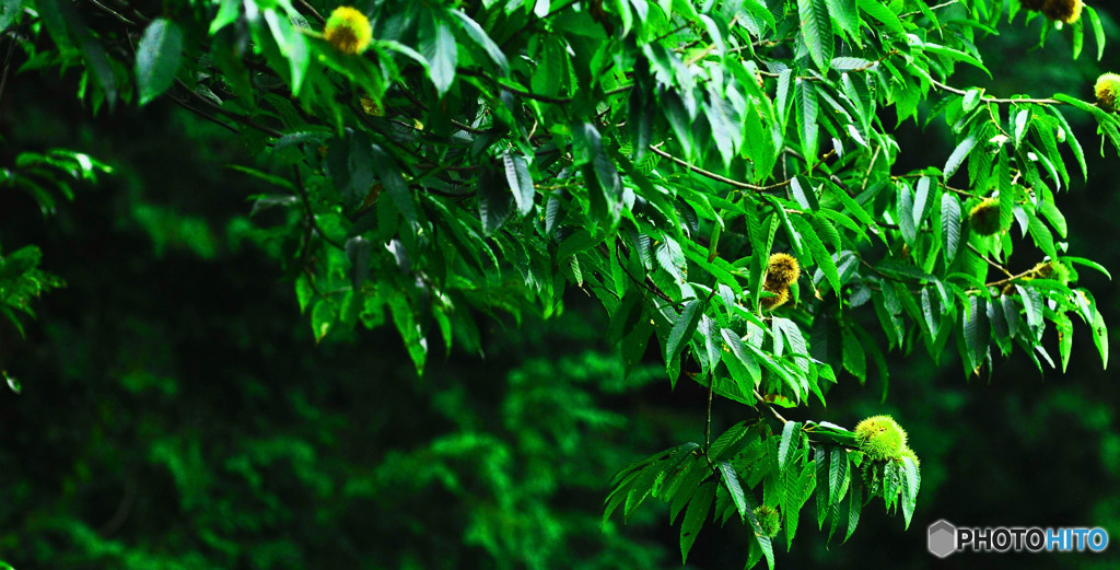 やっぱり、いい