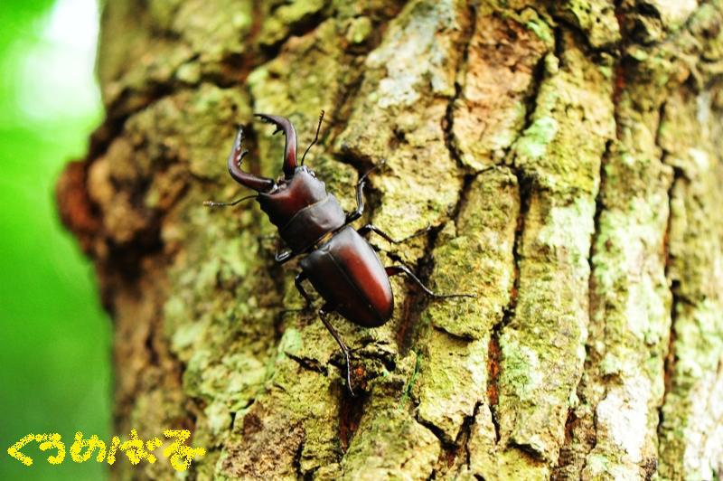 今年初のご挨拶５