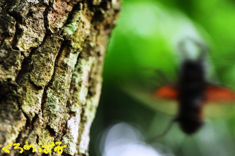 今年初のご挨拶８
