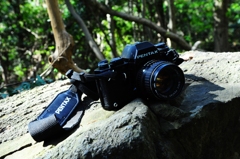 ＬⅩ精悍な機能美