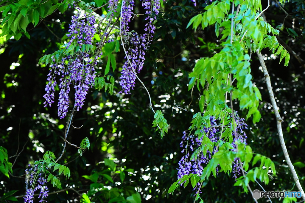 春の陽気に誘われて１０