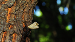 クヌギクラブ57