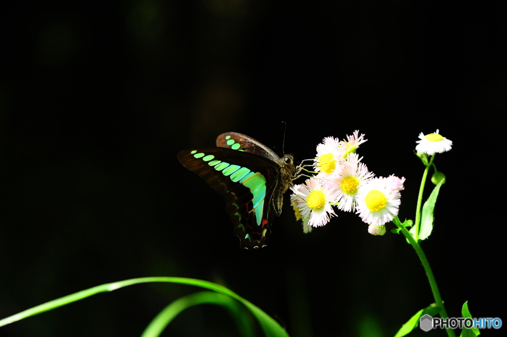 春の陽気に誘われて14