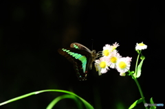 春の陽気に誘われて14