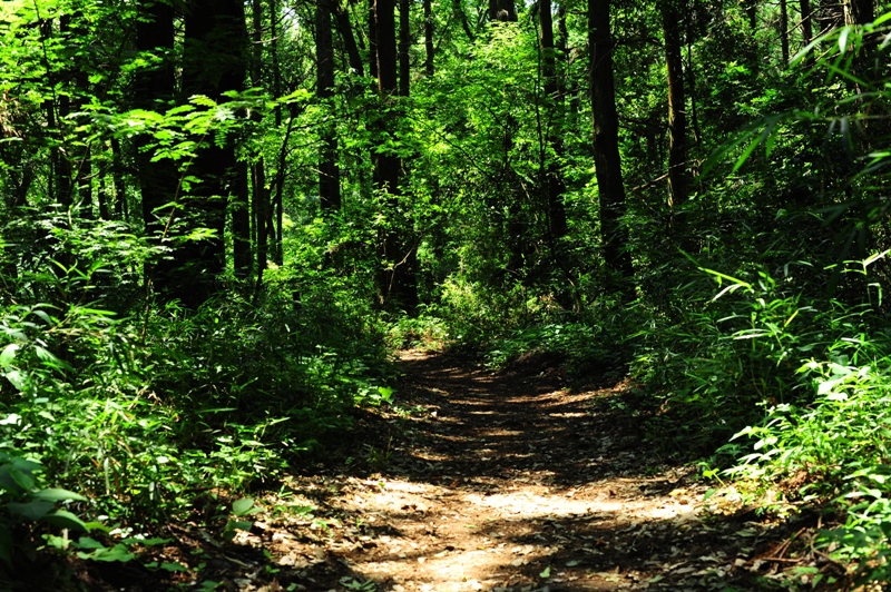 優しく迎えてくれる