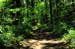 優しく迎えてくれる