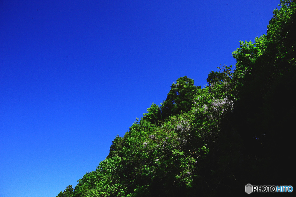 春の陽気に誘われて９
