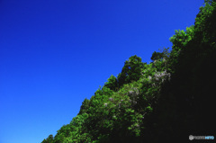 春の陽気に誘われて９