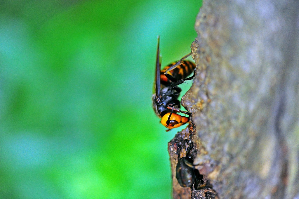 メルヘンチックな・・・？