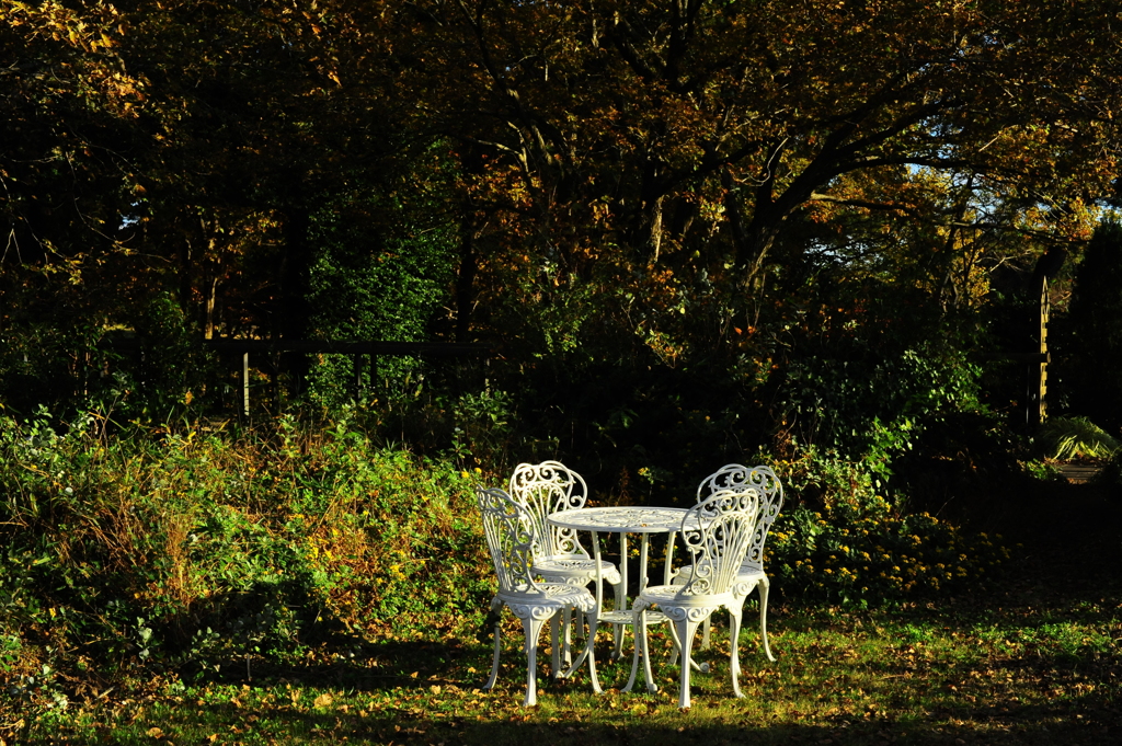 晩秋のテラスで