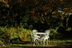 晩秋のテラスで