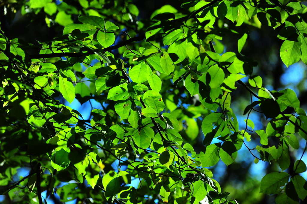 スッキリと秋３