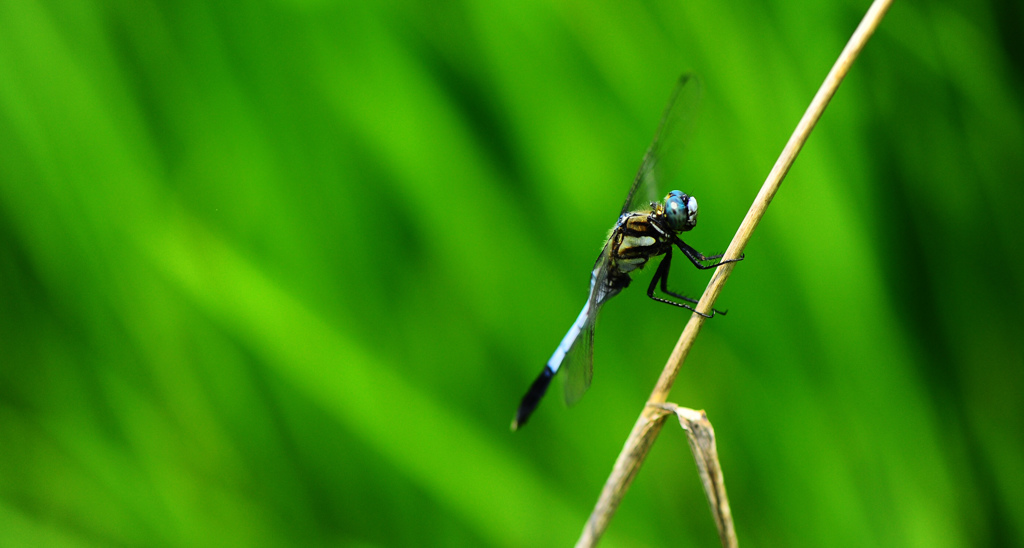 ん～。なんだ！