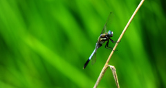 ん～。なんだ！