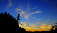 夕景