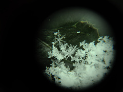 雪の結晶
