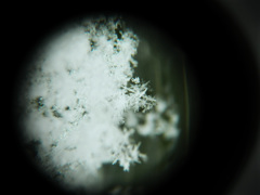 雪の結晶
