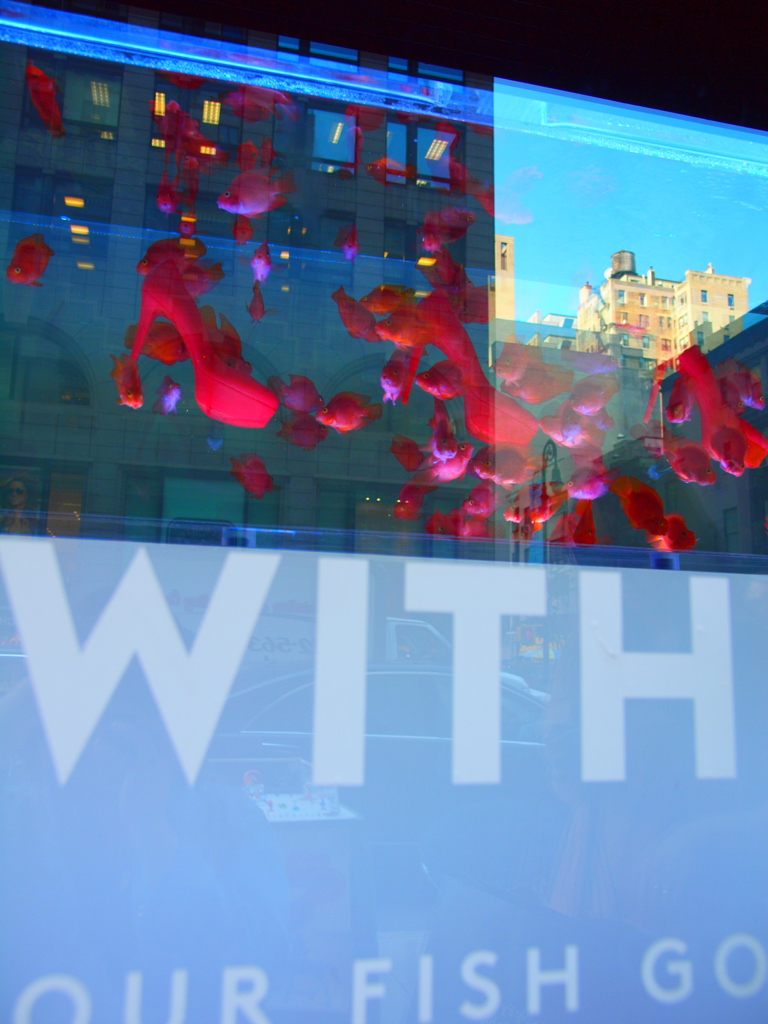 a reflection